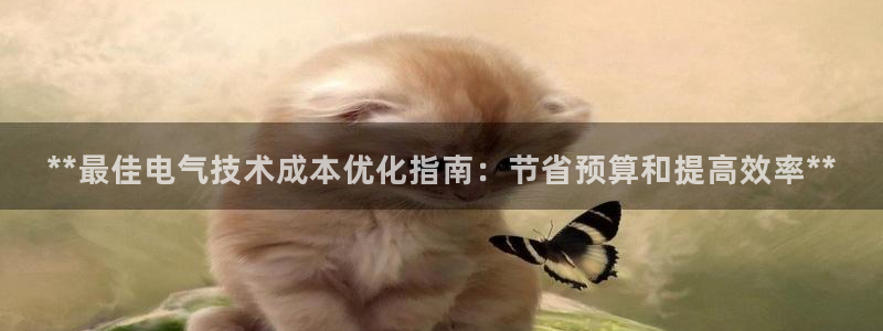 凯发平台首7O777：**最佳电气技术成本优化指南